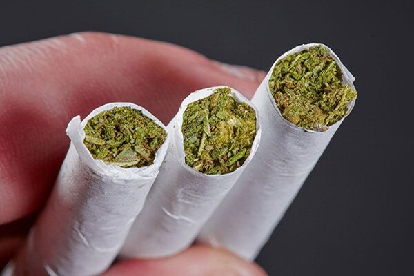 هشدار درباره مصرف حشیش در میان نوجوانان و اهمیت آگاهی خانوادهها هشدار درباره مصرف حشیش در میان نوجوانان و اهمیت آگاهی خانوادهها