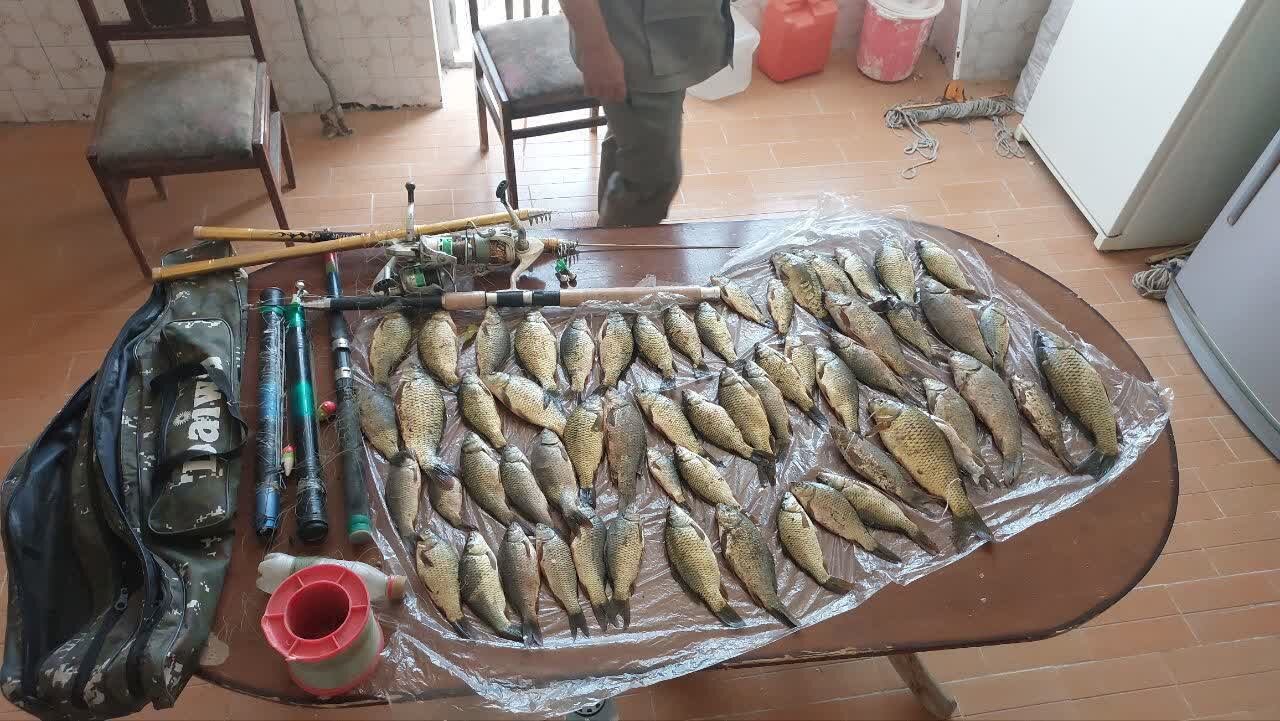 کاهش بارشها تهدیدی برای گونههای در معرض خطر ؛ دستگیری ۱۵ گروه متخلف