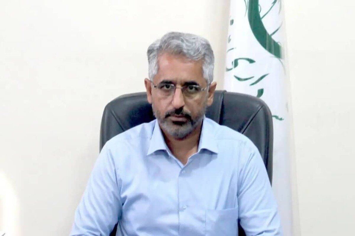 ميناب،شجره،طيبه،نامگذاري،شهدا،فرهنگ،فرهنگي،شهر