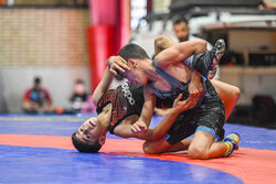 اسبقیان: تمرکز ورزش کشور بر روی حضور در المپیک خواهد بود