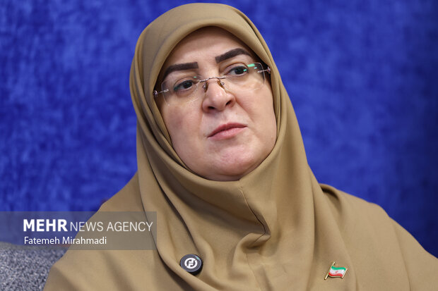 مهاجرانی: همکاری‌های اقتصادی با همسایگان در اولویت است