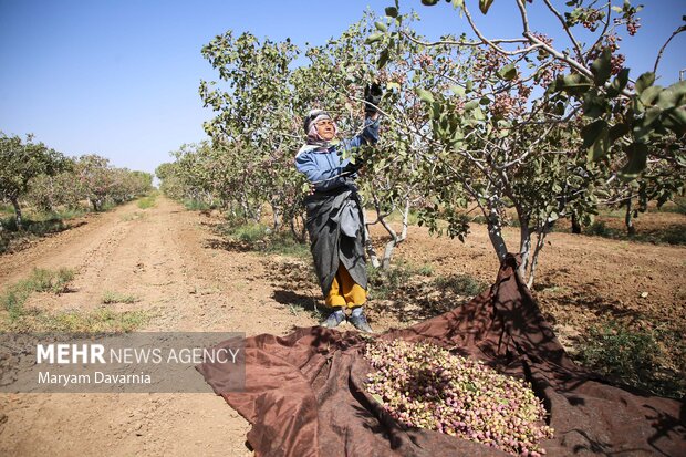 ارجاع پرونده ساخت و ساز در باغات به کمیسیون کشاورزی مجلس