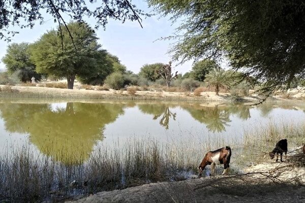 هوتکها میراث بومی آبخیزداری در سیستان و بلوچستان