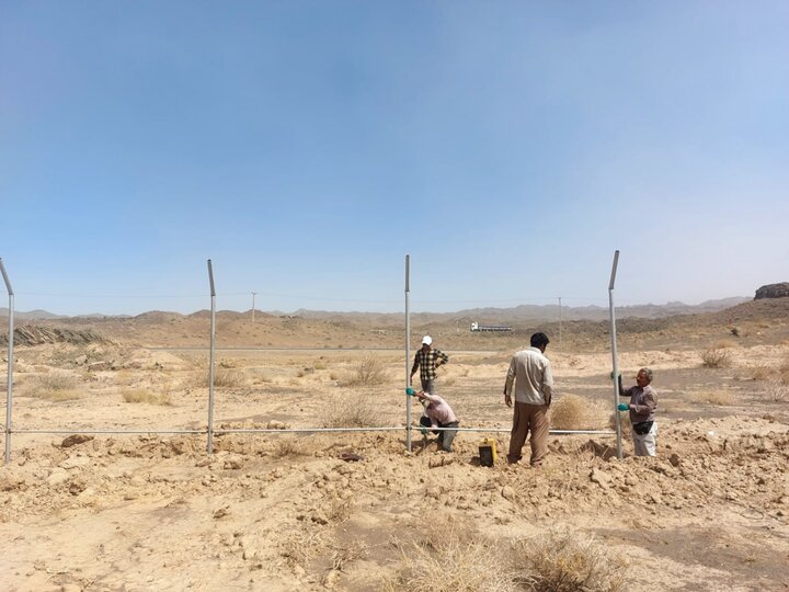 10 کیلومتر از مسیر عبور یوز عباس آباد به میامی فنس کشی میشود