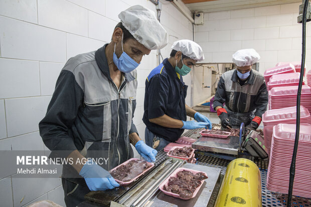 بازدید از کشتارگاه صنعتی طیور در زنجان