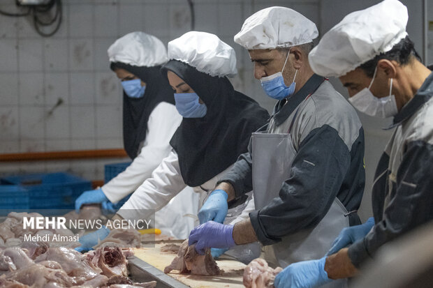 بازدید از کشتارگاه صنعتی طیور در زنجان