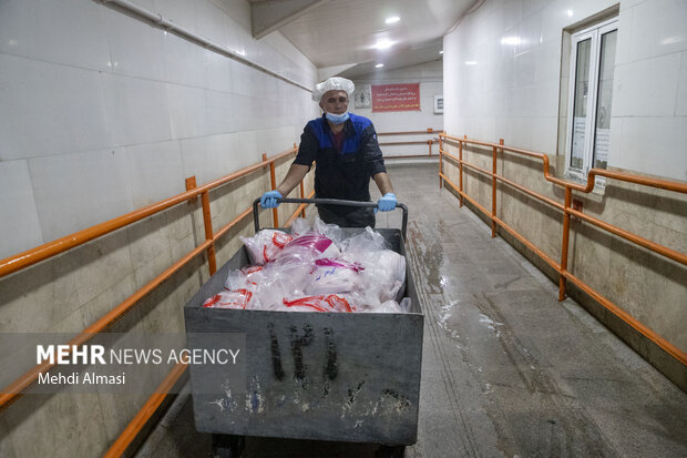 بازدید از کشتارگاه صنعتی طیور در زنجان