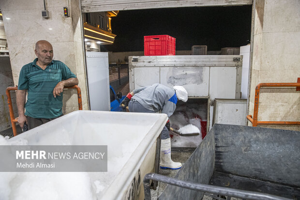 بازدید از کشتارگاه صنعتی طیور در زنجان