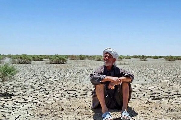 ضرورت اجرای بادشکن های غیر زنده در تالاب هامون برای نجات سیستان