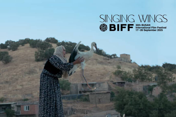 پرواز «بالهای آوازخوان» به جشنواره بوسان