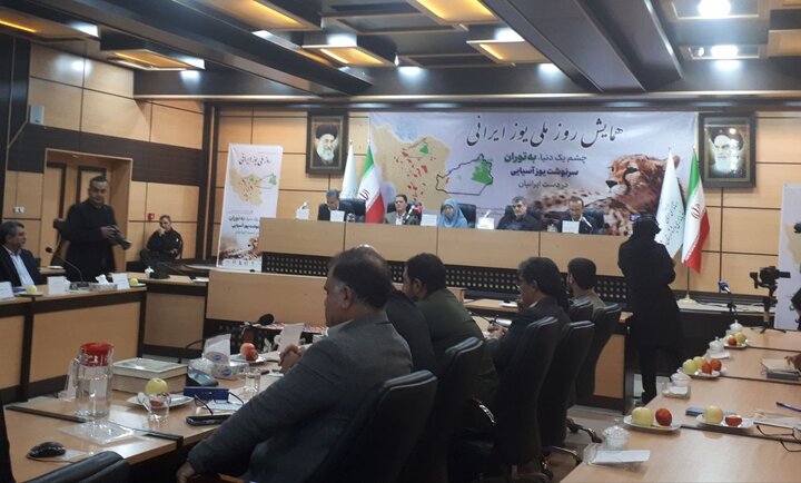 طرح ۵ ساله حفاظت یوزپلنگ آسیایی تدوین شد