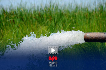 حاجی پور: ۹۰ درصد از منابع آبی انگوت در بخش کشاورزی مصرف می‌شود