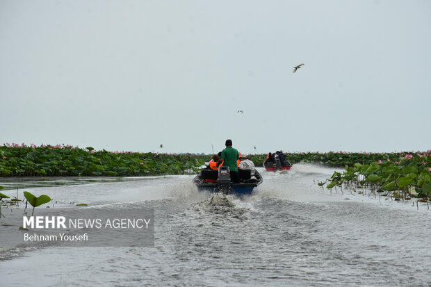 Anzali