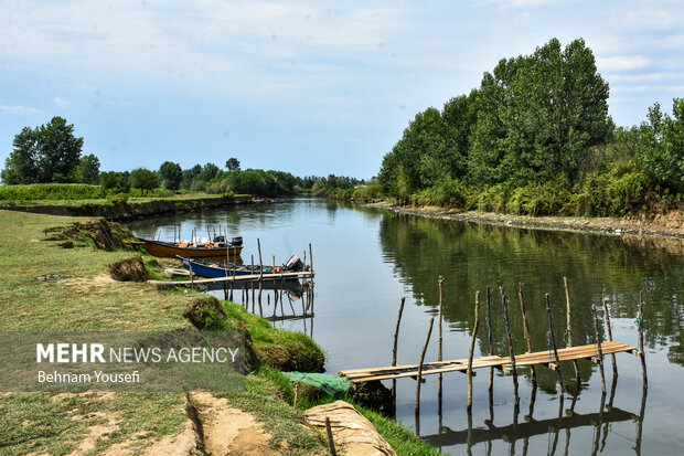 Anzali