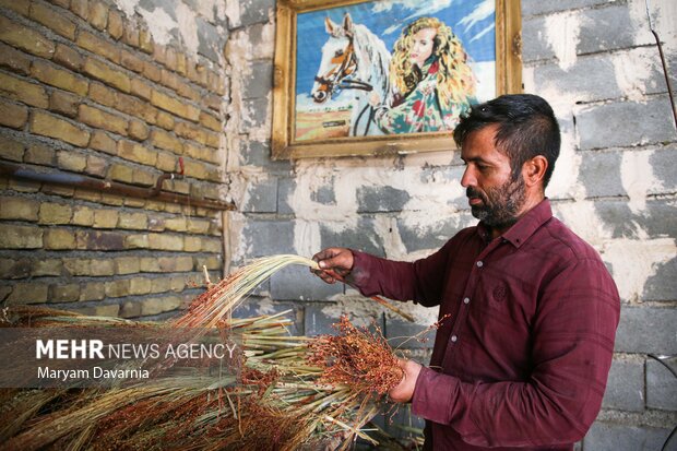 هنر سنتی جاروبافی در روستای ملاحسن