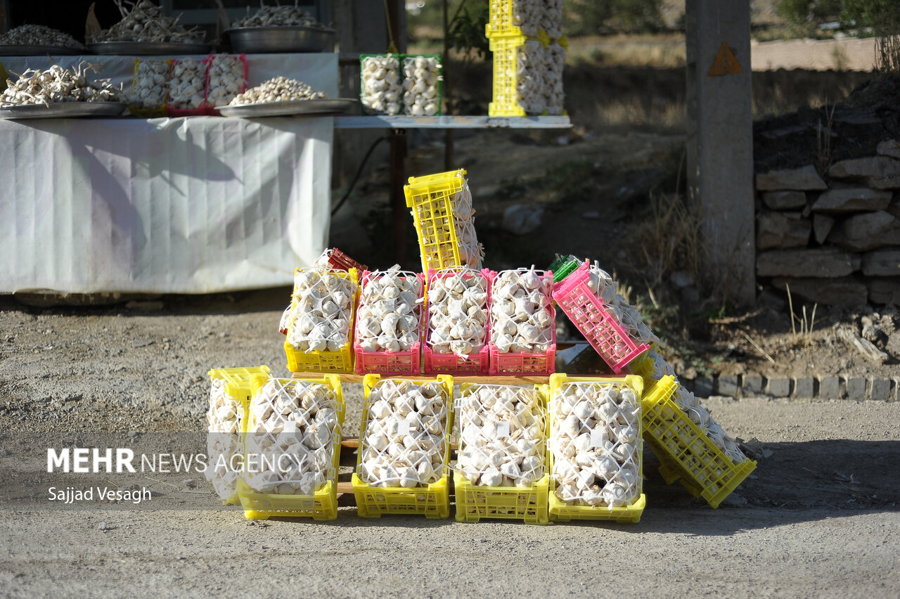 سولان؛ پیوند سیر و موسیر با گردشگری و اقتصاد محلی