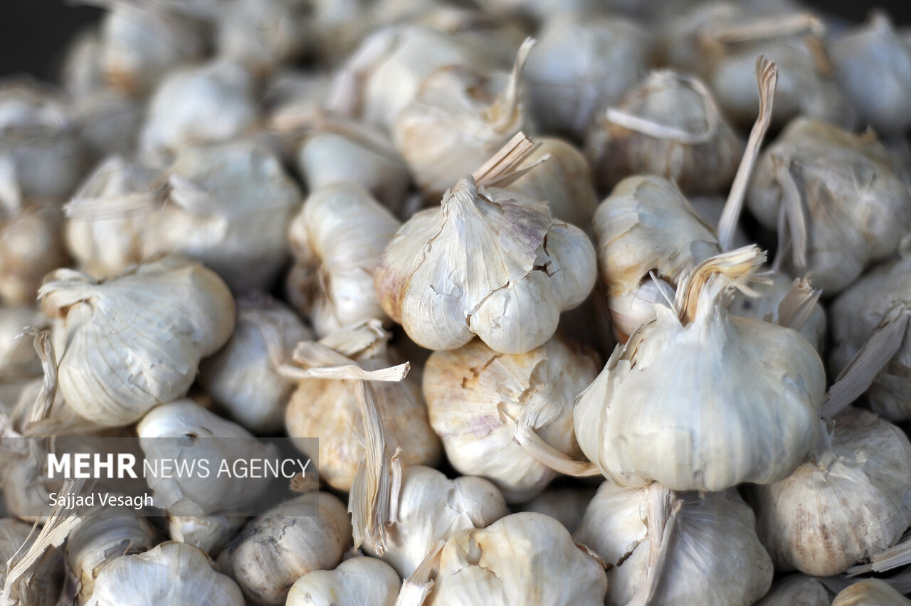 سولان؛ پیوند سیر و موسیر با گردشگری و اقتصاد محلی