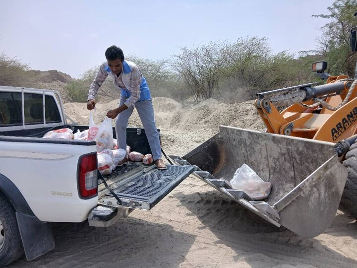 کشف و معدومسازی گوشتهای تاریخ گذشته و فاسد در میناب کشف و معدومسازی گوشتهای تاریخ گذشته و فاسد در میناب