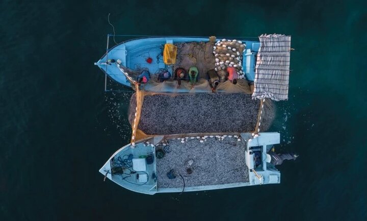 صیادان هرمزگان قربانیِ دریای متلاطم و قانون گریزیِ شبچراغیها