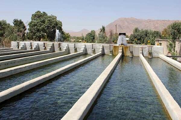 گوزلی: عرقیات گیاهی در پرورش ماهی روستای میاب مرند استفاده شد گوزلی: عرقیات گیاهی در پرورش ماهی روستای میاب مرند استفاده شد