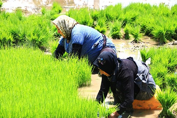 آینده محیط زیست در دستان مادران است