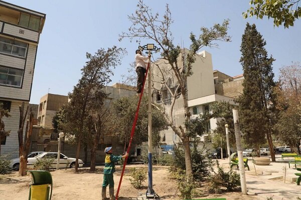 نصب پروژکتور برای روشنایی و امنیت بوستانهای جنوب تهران