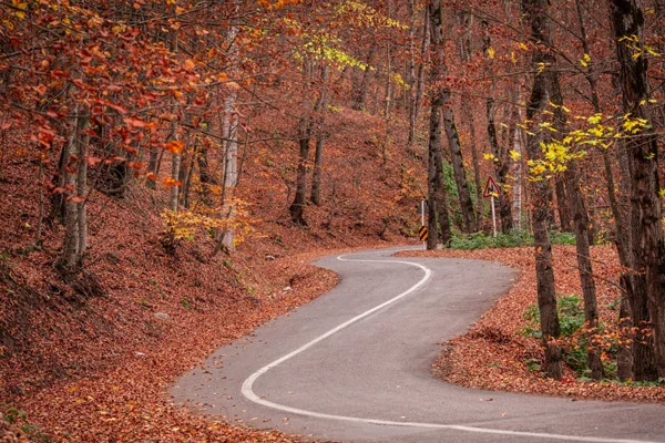 زیباترین نقاط ایران برای سفر در پاییز + معرفی ۳۰ مکان پاییزی