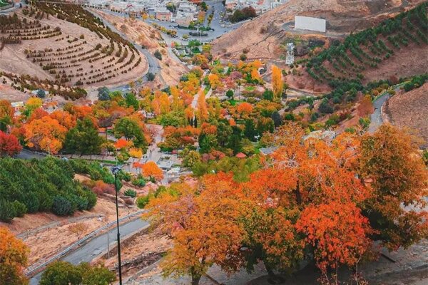 7 دمنوش پاییزی برای تقویت سیستم ایمنی و رفع خستگی