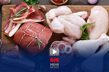 جزئیات عرضه مرغ و گوشت منجمد و گرم در تهران