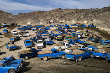 کشف قاچاق سوخت سازمان یافته در هرمزگان