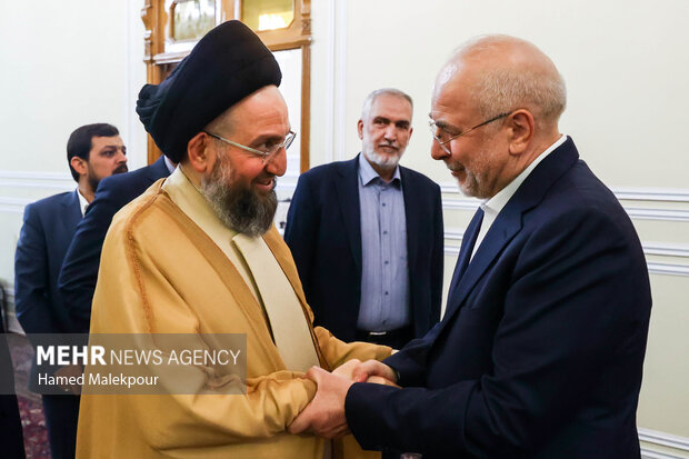 دیدار سید عمار حکیم با رئیس مجلس شورای اسلامی 17