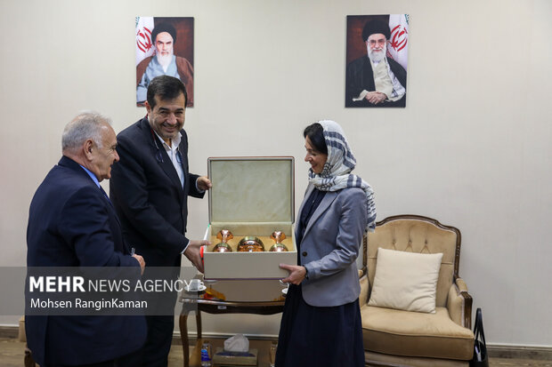 دیدار وزیر فرهنگ، آموزش و ورزش ارمنستان با وزیر ورزش و جوانان ایران 7