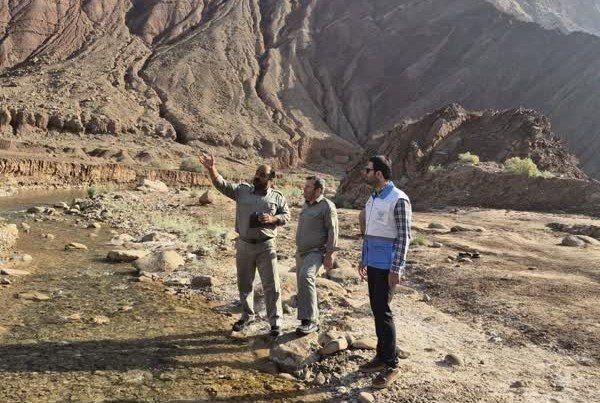 پايش،پرندگان،گرمسار،شهرستان،اداره