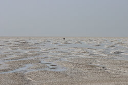 جباری: حق آبه دریاچه ارومیه تامین شود؛ نیاز آبی سالانه ۳.۴ میلیاردی