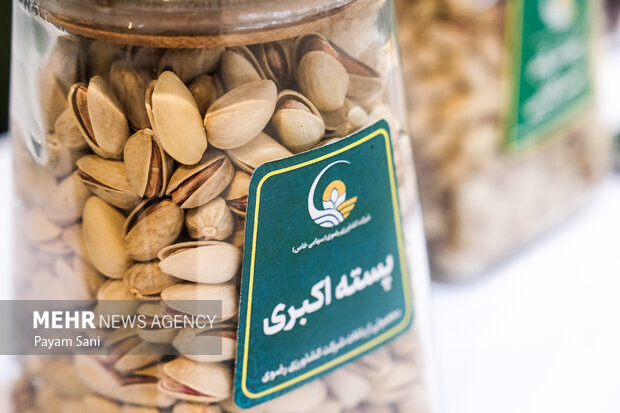 رویداد تخصصی «ایران پیشرفته»