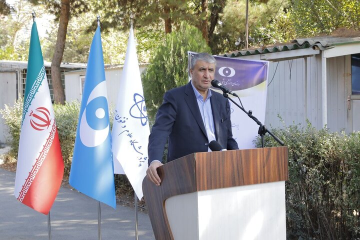 Nuclear industry built on domestic know-how: AEOI chief