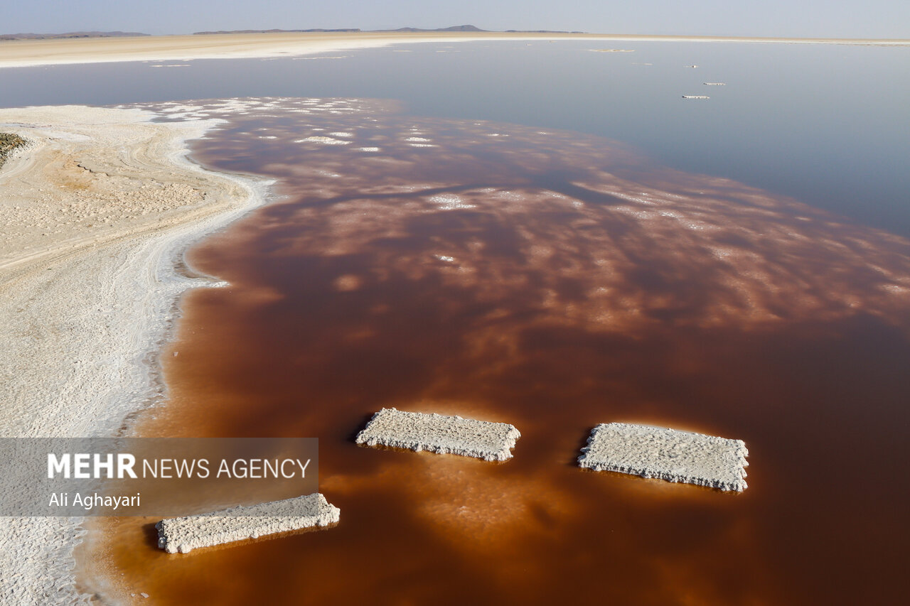 دریاچه ارومیه و ضرورت پیوند پژوهشهای دانشگاهی با زیستبوم