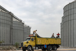 مومنی: ایجاد هاب تأمین غلات در شمال کشور اولویت مازندران است