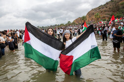 تقرير مصور... قافلة الصمود العالمية نحو فلسطين