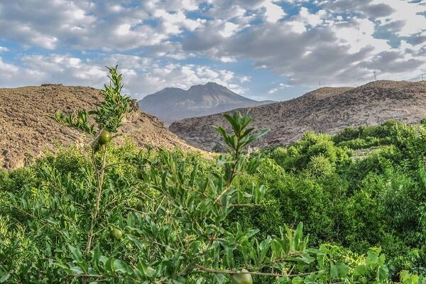 قصرقند؛ بهشت طعم‌های دل‌چسب سیستان و بلوچستان با ظرفیت گردشگری