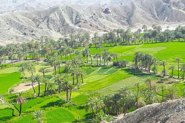 قصرقند؛ بهشت طعمهای دلچسب سیستان و بلوچستان با ظرفیت گردشگری