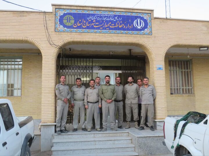 سرشماری فصلی پستانداران وحشی در دامغان انجام شد