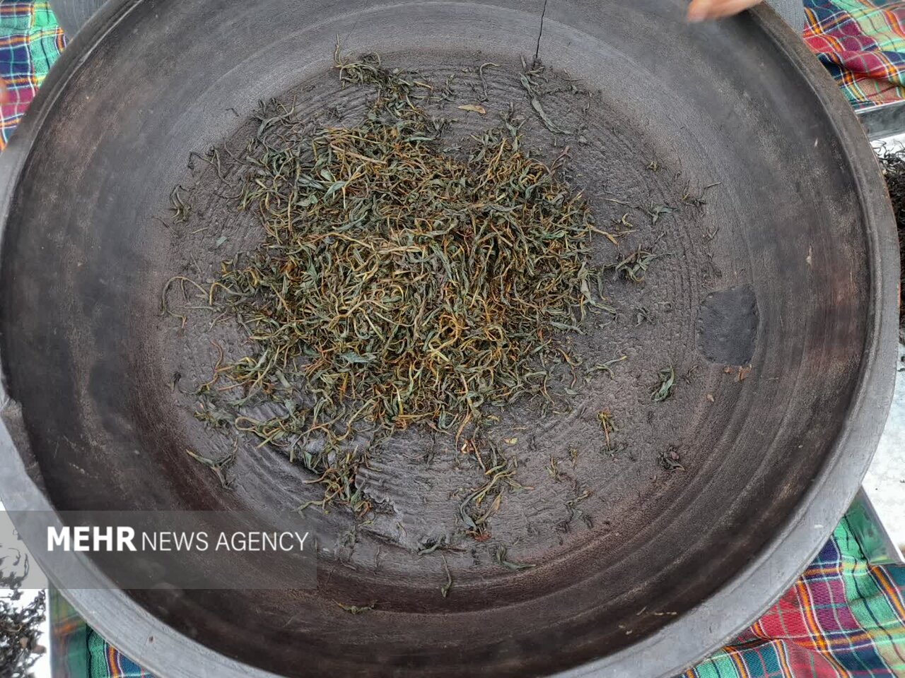 جشنوارهای با طعم چای ایرانی در واجارگاه رودسر