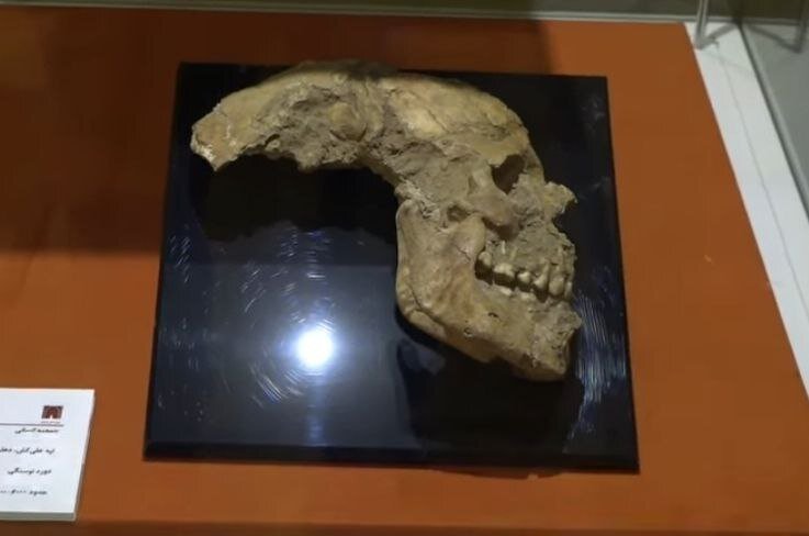 علت تغییر شکل عمدی جمجمه در عصر نوسنگی چه بود؟