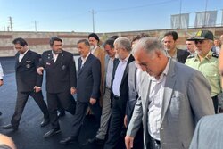 معاون اجرایی رئیس‌جمهور وارد شهریار شد