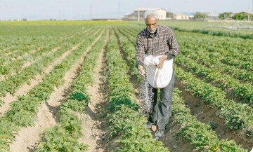 زینی وند:۱۶ هزار تن محصول پاییزه در دره شهر برداشت می شود