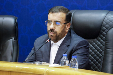 امیری:مدیران کم‌کار فارس در اجرای قانون جوانی جمعیت باید پاسخگو باشند