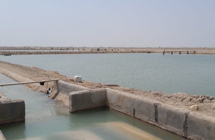 نظارت بر طرحهای پرورش میگو در اراضی واگذار شده بوشهر