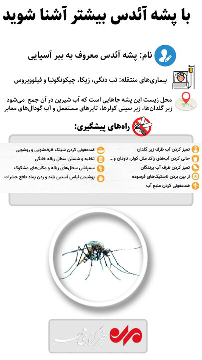 اینفوگرافیک| با پشه آئدس بیشتر آشنا شویم