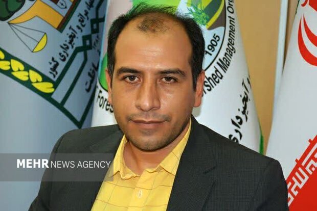 اجرای 190 هزار مترمکعب عملیات آبخیزداری در سمنان